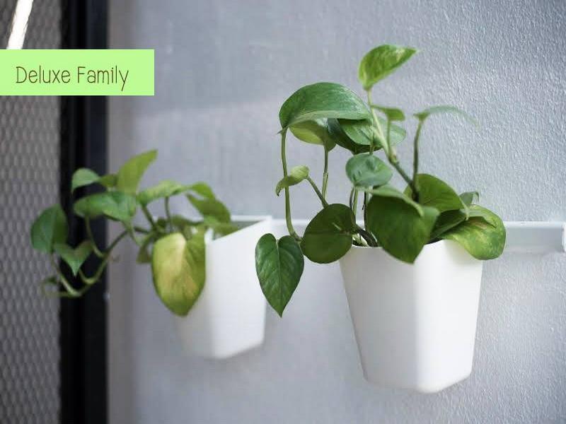 The Leaf Chiangmai Service Apartment Чиангмай Экстерьер фото